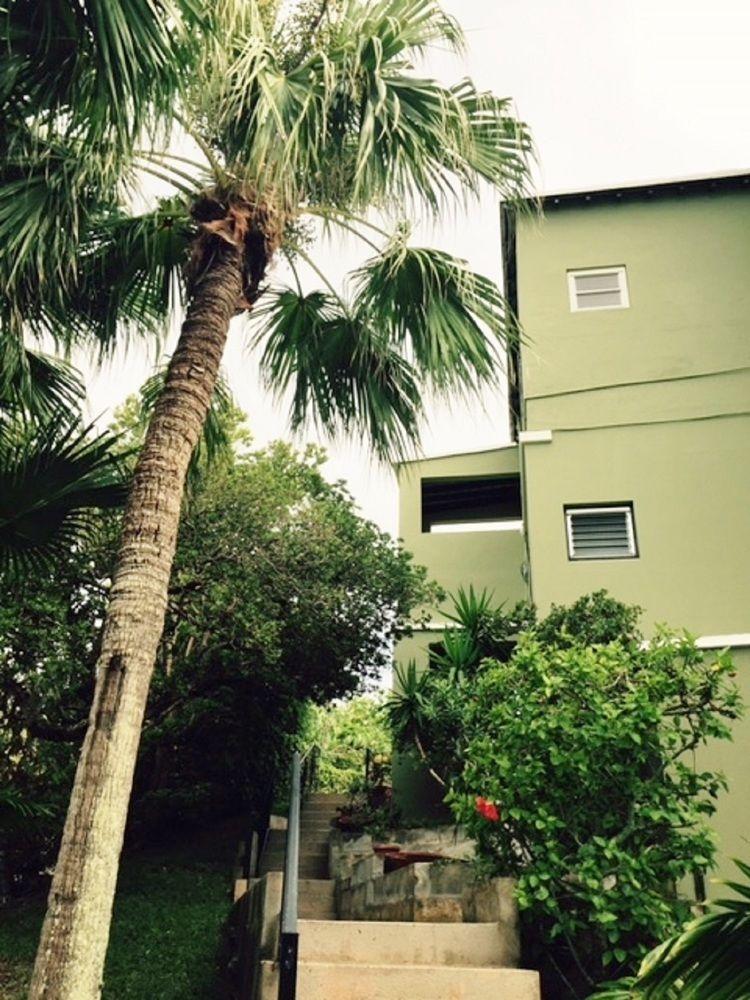 Edgehill Manor Guest House Hamilton City Exterior foto